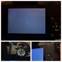 The screen is not great, especially for this price, and not touchscreen either. Buttons dont do what the picture show.... looking at you flash button. , Canon EOS R100