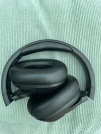 Scooby69 review photo