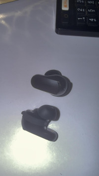 Cushioned earphones and has a R or L on each one discreetly , Bose QuietComfort Ultra Earbuds 2nd Gen