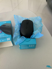 Lyn - Belfast review photo
