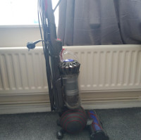 Dyson Ball Animal