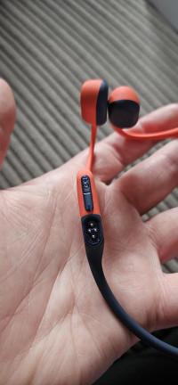Shokz OpenSwim Pro
