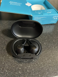 Earphones