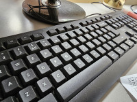 Keyboard , Trust Primo