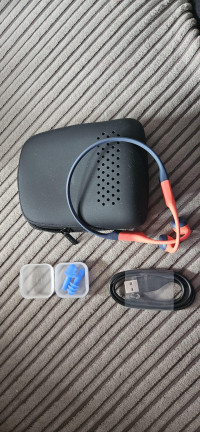 Shokz OpenSwim Pro