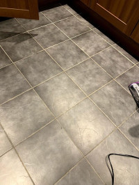 Bissell CrossWave Pet