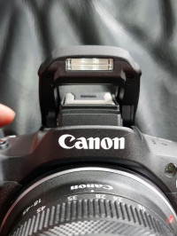 Built-in flash , Canon EOS R50