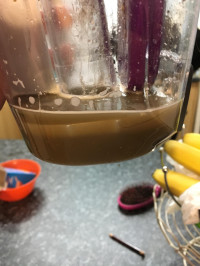 This was the colour of the dirty water, only a day after I’d mopped with my old mop! , Bissell CrossWave Pet