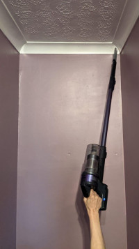 Samsung Jet 65 Pet