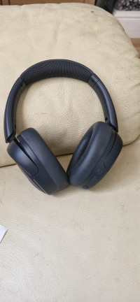 lnmb1 review photo