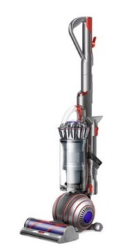 Dyson Ball Animal