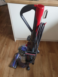 Dyson Ball Animal