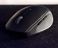 Side view of mouse