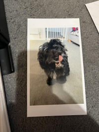 Clairey review photo
