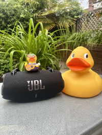 Breathwork and Ice Bath Ready! , JBL Xtreme 4
