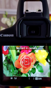 Canon EOS 2000D