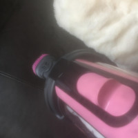 Numatic Hetty Quick