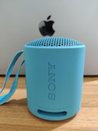Sony SRS-XB100