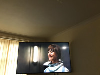 Great TV , Bush 65UT24SB