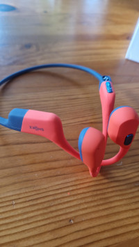 Shokz OpenSwim Pro