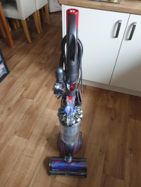 Dyson Ball Animal