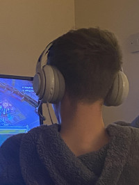 Turtle Beach Atlas 200