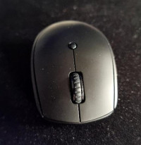 Front of mouse