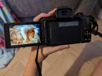 Photo of guinea pig , Canon EOS R50