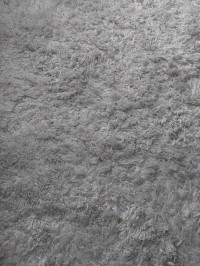 This is the pile depth if my rugs , Samsung Jet 65 Pet