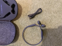 The headphones and charger